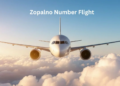 Zopalno Number Flight 8 Steps to Book and Track