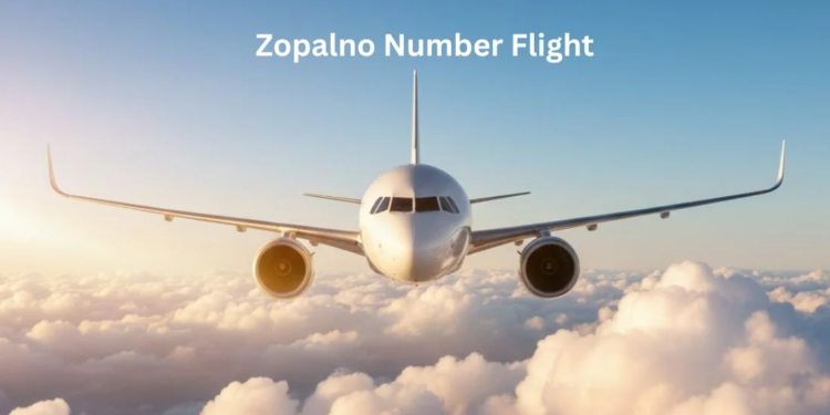 Zopalno Number Flight 8 Steps to Book and Track