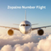 Zopalno Number Flight 8 Steps to Book and Track